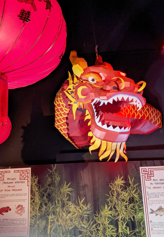 Sculpture en papier dragon chinois rouge pour Sea Life Paris par Nonitt Paper Sculptures